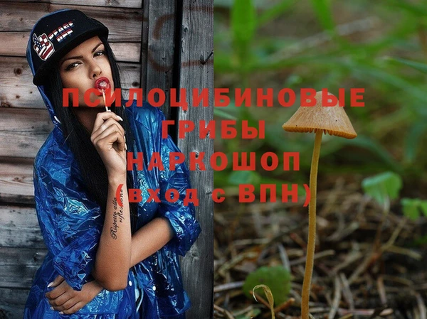 твердый Михайлов