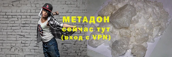 прущие грибы Волоколамск