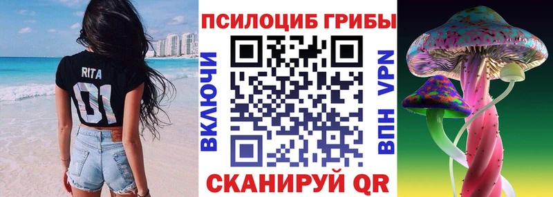 Псилоцибиновые грибы Psilocybe Новоуральск