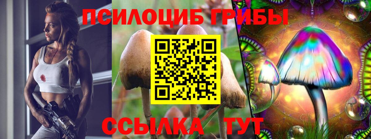Галлюциногенные грибы Cubensis Новоуральск
